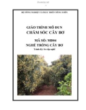 Giáo trình Chăm sóc Bơ - MĐ04: Trồng cây bơ