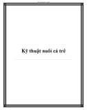 Kỹ thuật nuôi cá trê