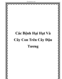 Các Bệnh Hại Hạt Và Cây Con Trên Cây Đậu Tương