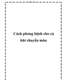 Cách phòng bệnh cho cá khi chuyển mùa