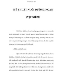 KỸ THUẬT NUÔI DƯỠNG NGAN (VỊT XIÊM)