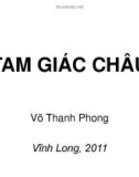 Bài giảng Thổ nhưỡng: Chương Tam giác châu - Võ Thanh Phong