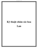 Kỹ thuật chăm sóc hoa Lan