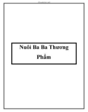 Nuôi Ba Ba Thương Phẩm