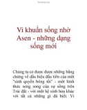 Vi khuẩn sống nhờ Asen - những dạng sống mới