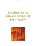 Khả năng hấp thụ CO2 của hệ thực vật ngày càng giảm