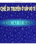 Bài giảng Cơ chế di truyền ở cấp độ tế bào: Chu kì tế bào