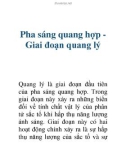 Pha sáng quang hợp Giai đoạn quang lý