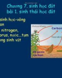 Bài giảng Khoa học đất - Chương 7: Sinh thái học đất