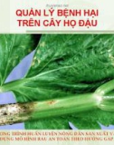 Quản lý bệnh hại cây họ đậu ( Nguyễn Văn Thiệu)