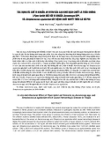 Tác dụng ức chế vi khuẩn in vitro của cao khô dịch chiết lá trầu không (Piper betle) đối với vi khuẩn Aeromonas spp. và Streptococcus agalactiae gây bệnh xuất huyết trên cá rô phi