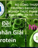 Đề tài: Sự phân giải Protein