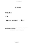 TRỨNG VÀ ẤP TRỨNG GIA CẦM part 1