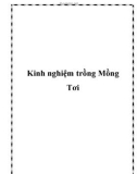 Kinh nghiệm trồng Mồng Tơi