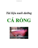 Tài liệu nuôi dưỡng cá Rồng