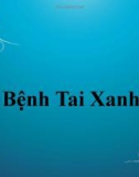 Bài giảng Bệnh tai xanh