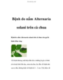 Bệnh do nấm Alternaria solani trên cà chua