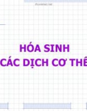 Bài giảng Hóa sinh các dịch cơ thể - BS. Trần Kim Cúc