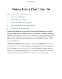 Những loài cá Phổi Châu Phi