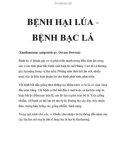 BỆNH HẠI LÚA BỆNH BẠC LÁ