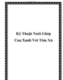 Kỹ Thuật Nuôi Ghép Cua Xanh Với Tôm Xú