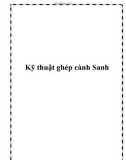 Kỹ thuật ghép cành Sanh