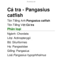 Cá tra - Pangasius catfish