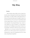 Mậy Bông