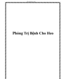 Phỏng Trị Bệnh Cho Heo