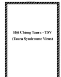 Hội Chứng Taura - TSV (Taura Syndrrome Virus)