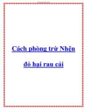 Cách phòng trừ Nhện đỏ hại rau cải