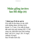 Nhân giống invitro lan Hồ điệp (tt)