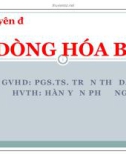 Chuyên đề: DÒNG HÓA BÒ