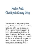 nucleic acid