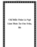 Chế Biến Thân Lá Ngô Làm Thức Ăn Cho Trâu, Bò