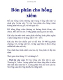 Bón phân cho hồng xiêm