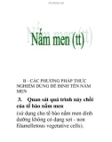 nấm men (tt)