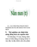 nấm men (tt)