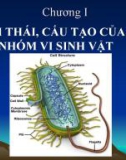 Bài giảng Vi sinh vật học đại cương (Microbiologie): Chương 1 - PGS. TS. Nguyễn Bá Hiên