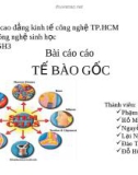 Báo cáo - Tế bào gốc