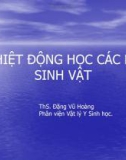 Bài giảng Nhiệt động học các hệ sinh vật - ThS. Đặng Vũ Hoàng