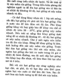 Bác sĩ cây trồng : Giống cây trồng part 8