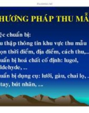 Phương pháp thu mẫu