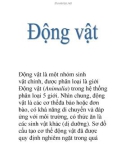 Động vật