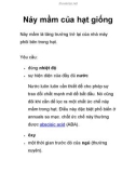 Nảy mầm của hạt giống