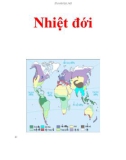 Nhiệt đới.