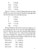 Kỹ thuật trồng cây ăn quả - Khóm (dứa) part 7