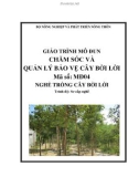 Giáo trình Quản lý bảo vệ cây bời lời - MĐ04: Trồng cây bời lời