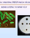 Bài giảng Vi sinh thực phẩm: Chương 6 - Nguyễn Minh Hiền