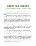 Muôn sắc Hoa leo